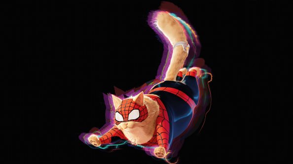 Spider Cat In Spiderman Across The Spider Verse 2023 8k