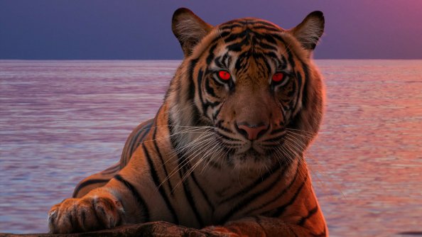 Tiger Glowing Red Eyes 5k