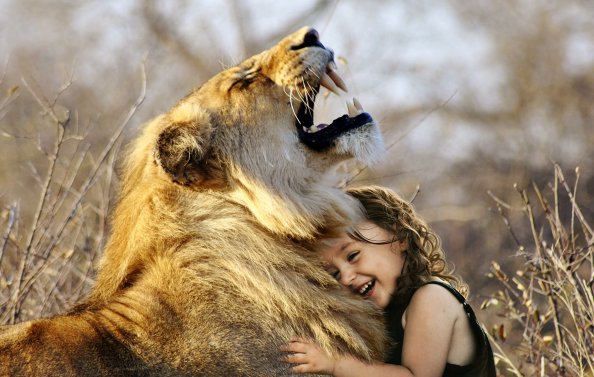 Little Girl Hugs Lion Roaring Cute 4k