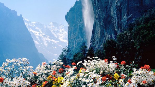 Flowers Mountains Cliff