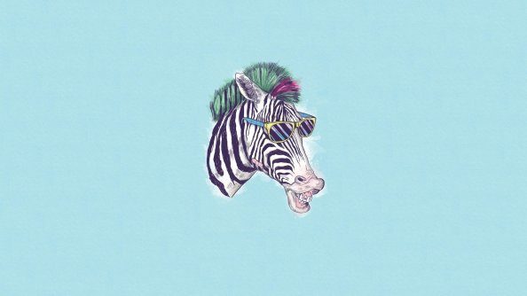 Zebra Minimalism