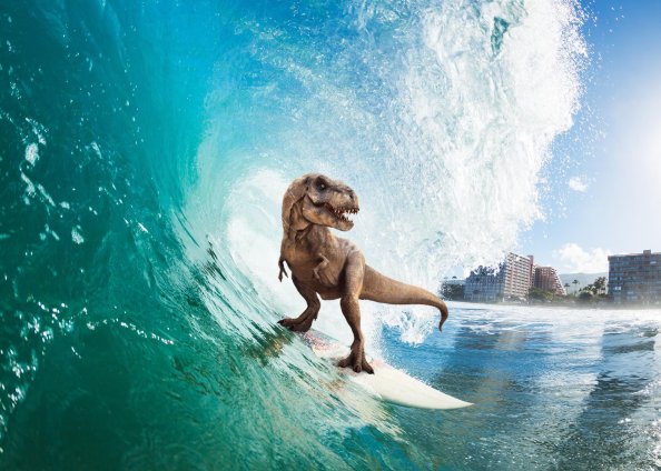 Surfing T Rex