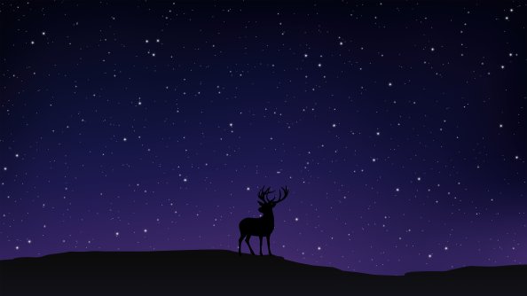 Night Sky Deer Minimal 5k