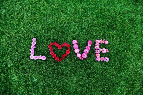 LOVE Flower Art