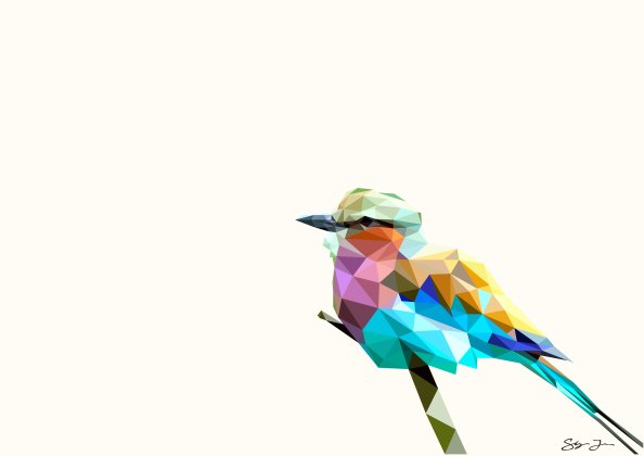 Bird Rainbow Polyart