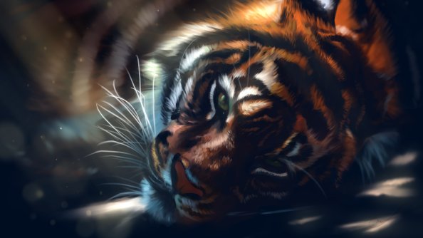 Tiger Lying Down Art