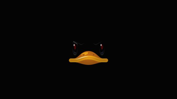 Duck Minimal 4k