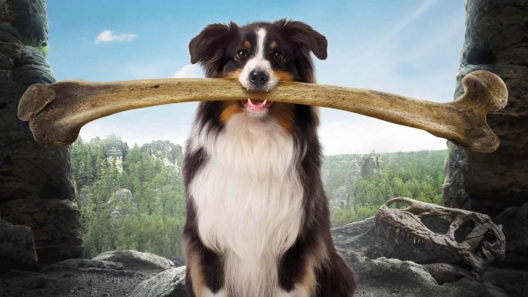 The Famous Five And The Valley Of Dinosaurs 2018