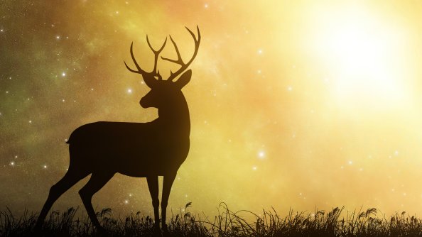 Reindeer In Yellow Planet 5k