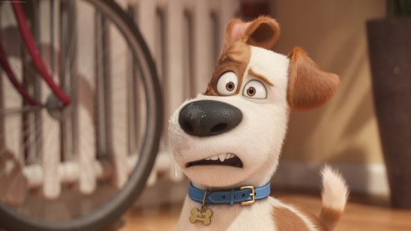 Max The Secret Life Of Pets