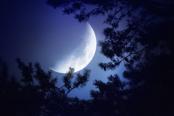 Big Moon Dark Night