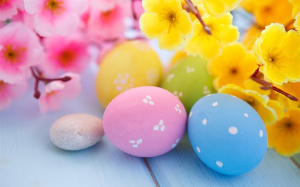 Easter Eggs and Spring Blossoms