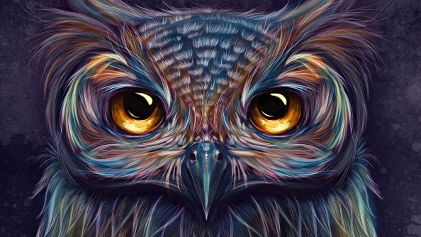 Owl Colorful Art 5k