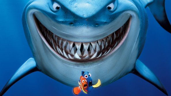Shark Finding Nemo
