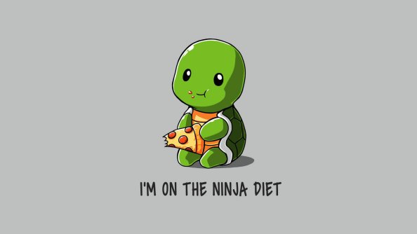 Funny Ninja On Diet