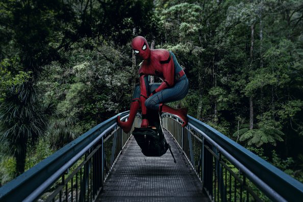Spiderman On The Bridge