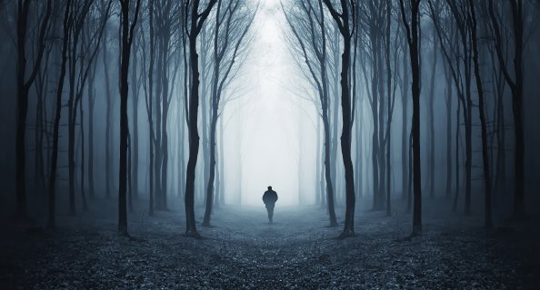 Walking Alone In Dappled Sunlight Forest Covered By Trees 5k