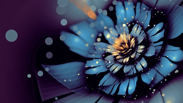 Apophysis Bloom Flower Digital Art