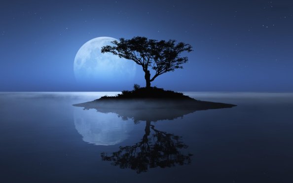 Island Sky Moon Tree