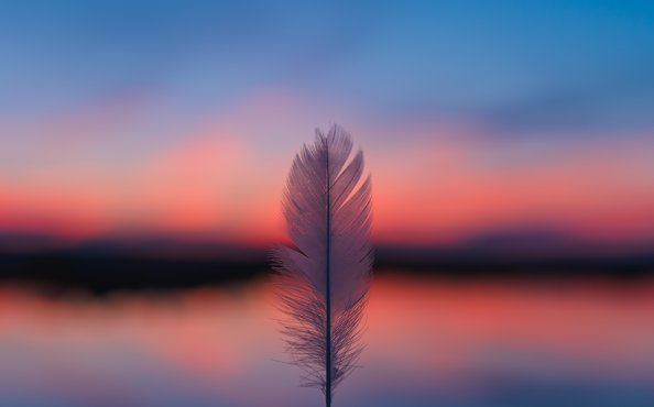 Feather Focus Blur Sunset 5k