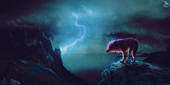 Fox King 4k