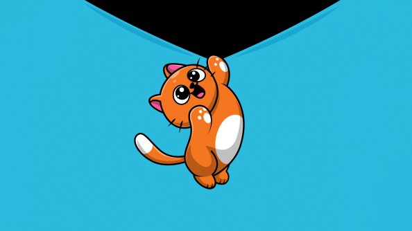 Cute Cat Hanging Illustration 5k