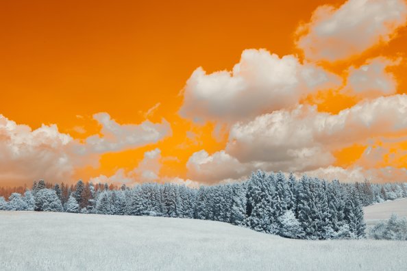 A Snow Covered Field With Trees Under A Cloudy Sky