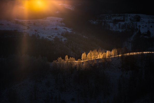 Sun Beams With Golden Light Over The Frozen Trees