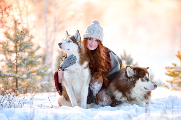 Girl In Snow With Siberian Husky