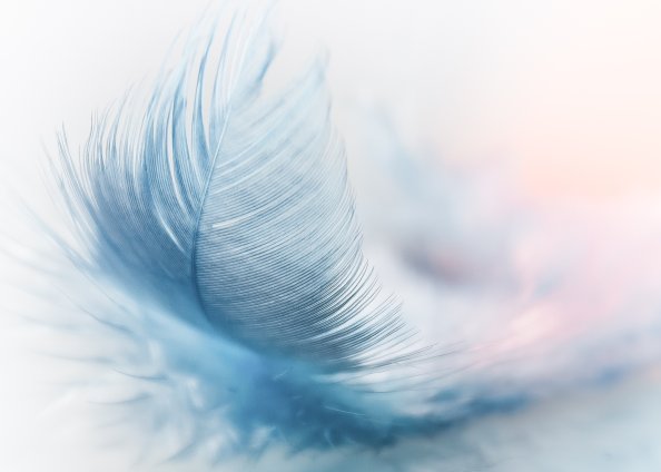 Featherweight Fly Wind Strauss Spring