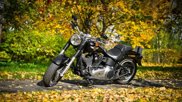 Harley Davidson Motorcycle 2