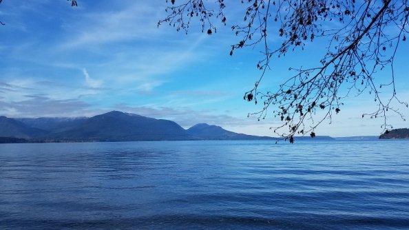 Blue Sky Nature 4k