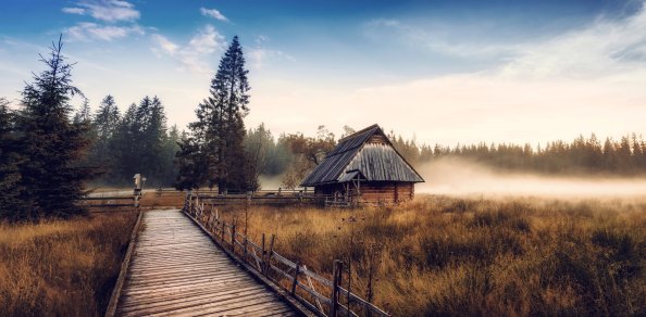 Dry Grass Landscape