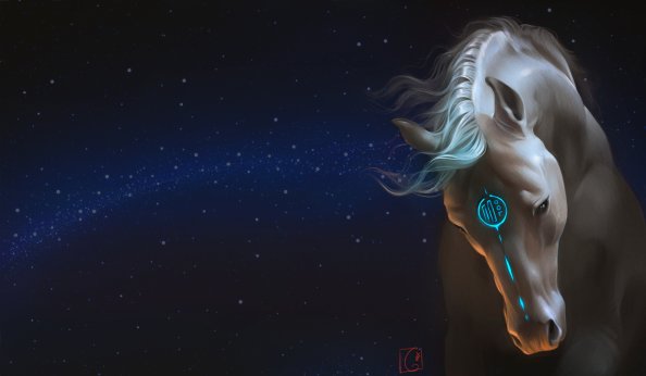 Horse Fantasy