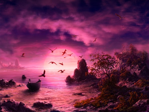 Seagull Birds Boat Landscape Purple Sunset