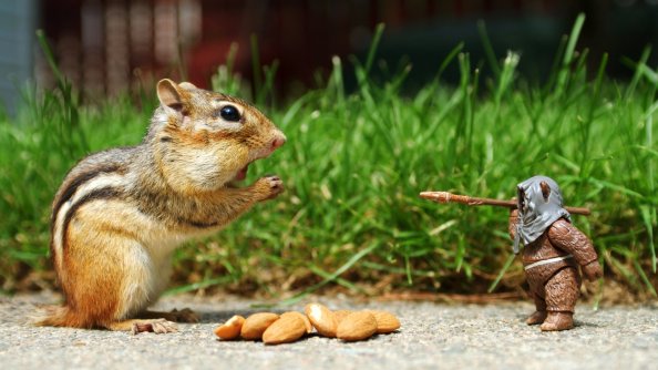Chipmunks HD