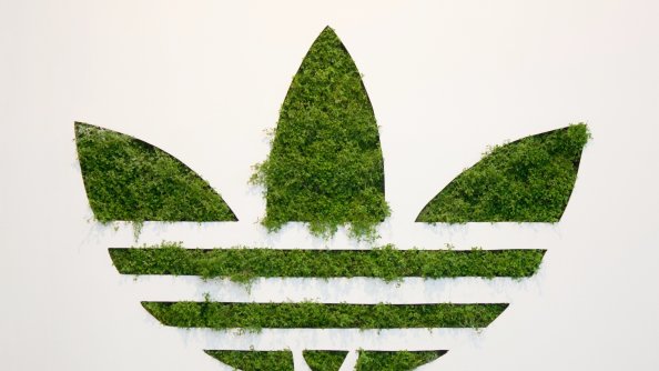 Adidas Grass Logo