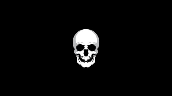 Skull Logo