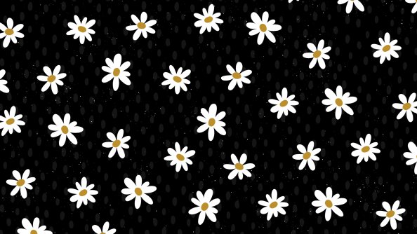 Daisy Flower Pattern Abstract 4k