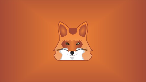Fox Minimalist 5k