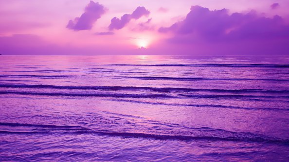 Purple Sunset 4k