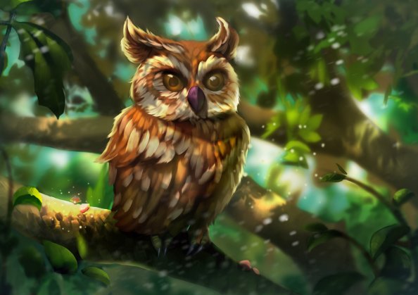 Owl Colorful Art