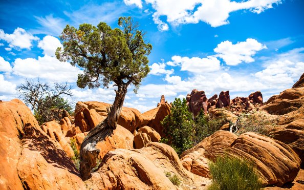 National Park Arches