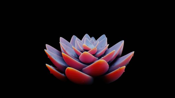 Bldender Flower Plant 5k