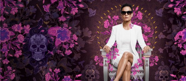 Queen Of The South Tv Show