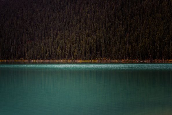 Mountains Trees