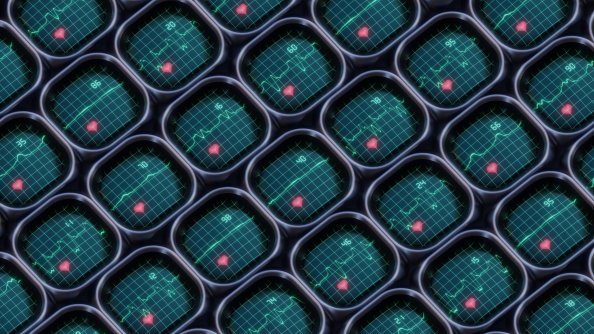 Heart Activity Monitors 4k