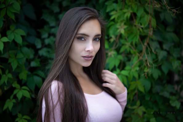 Pavlina Model