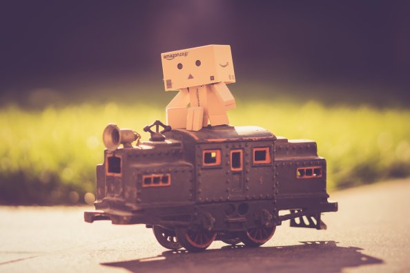 Danbo Train 5k