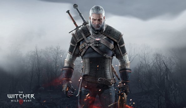 2016 The Witcher 3 Game